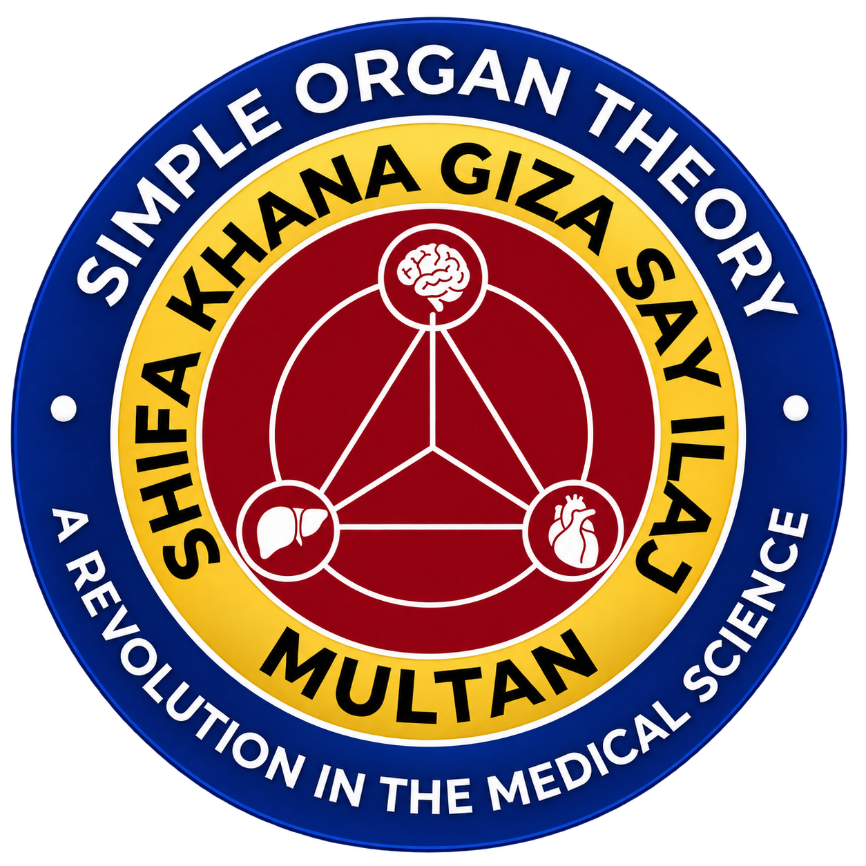 Graphic representing the Simple Organ Theory