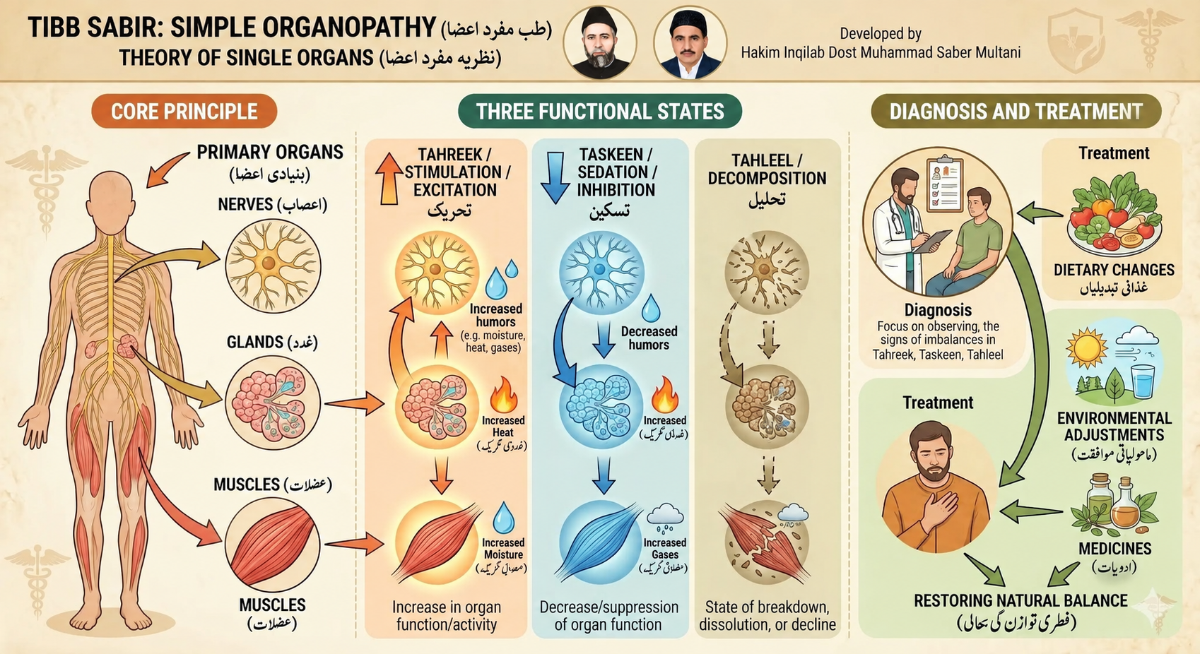Simple Organ Theory